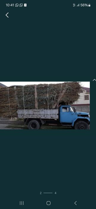 Камыс бар бауланған