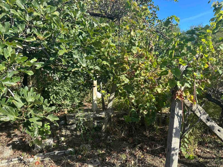 Продава се Парцел в с. Хрищени, Област Стара Загора - 800 кв.м за 45 €/кв.м - Снимка #4