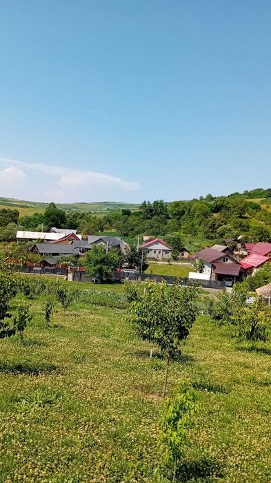 Business, casa si teren - proprietate rurala