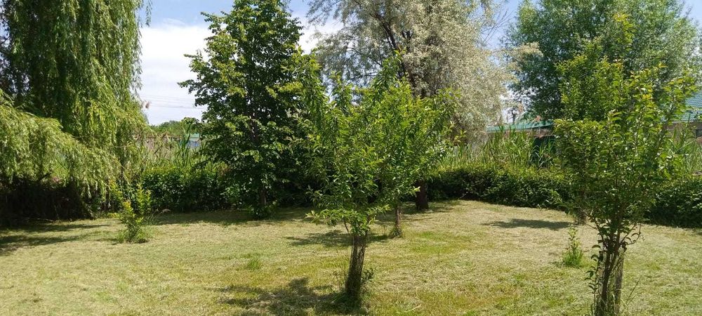 Продам дом  с участком 12 соток