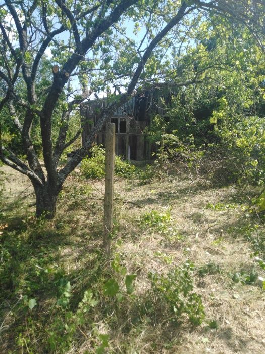 ниски цени изрязване и извозване на буренясали места