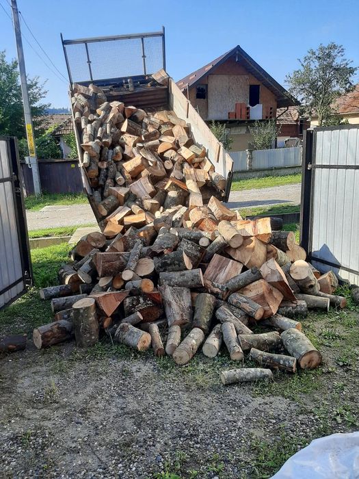 Lemne Foc (Fag,Stejar,Carpen) 480 Lei