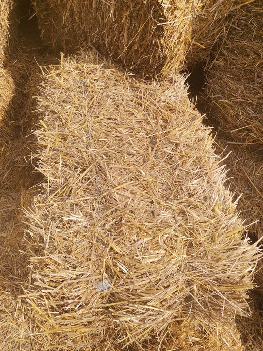 Малки бали ЖИТНА СЛАМА И просо