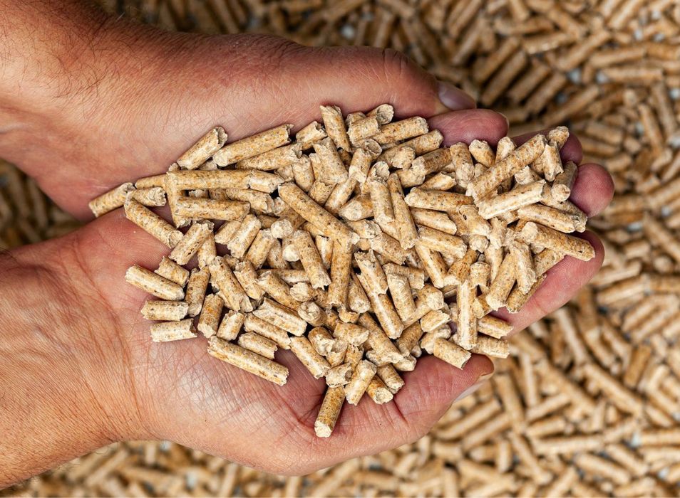 Peleți A1 EN+ rășinoase 100%