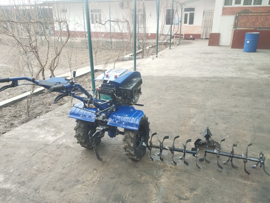 Matabulo'k kultvatr 19 talik