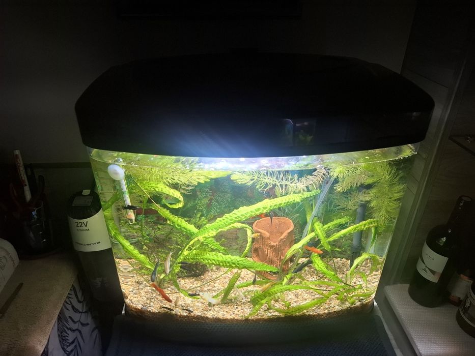 Продавам два  Аквариума