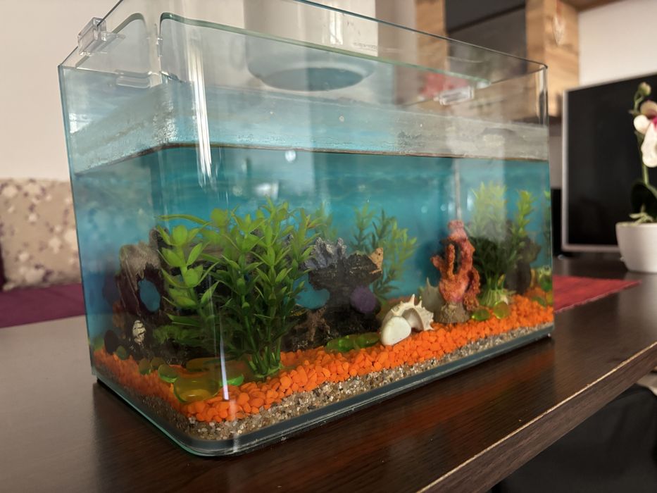 Vand aquariu de 10L