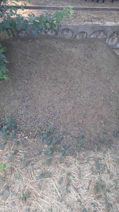 Куй нури сотилади