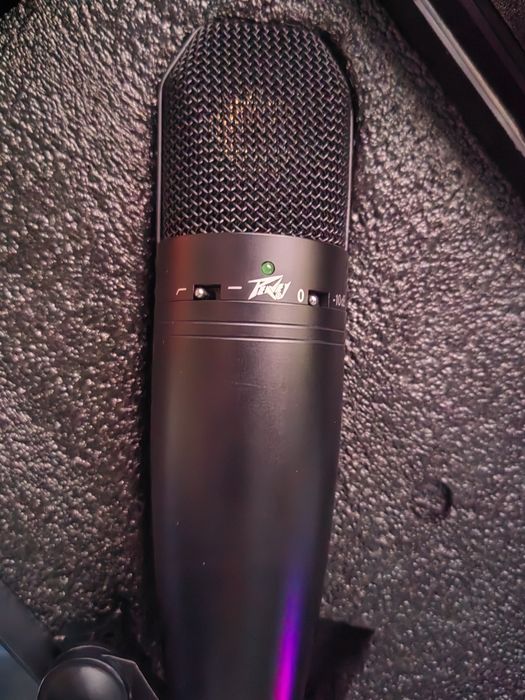 Peavey studio pro m2