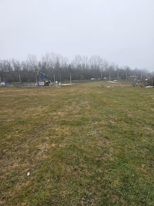 Teren Priseaca/Dragomirești