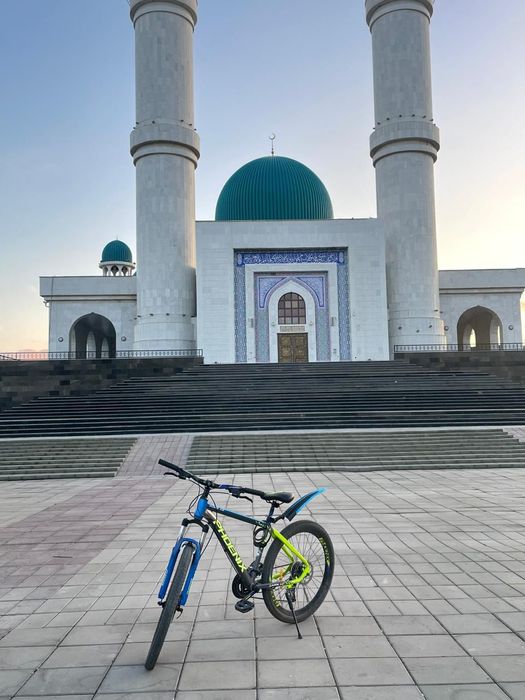 Велосипед phoenix