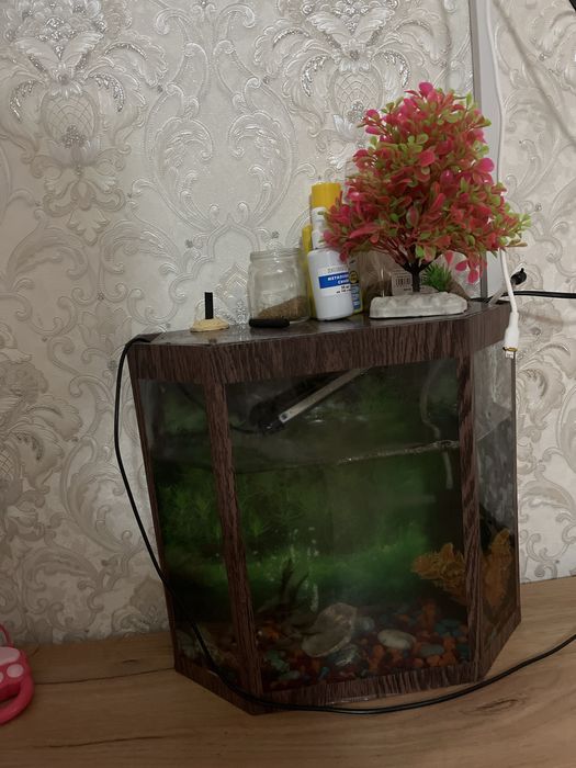 Продаю рыбу все в комплекте