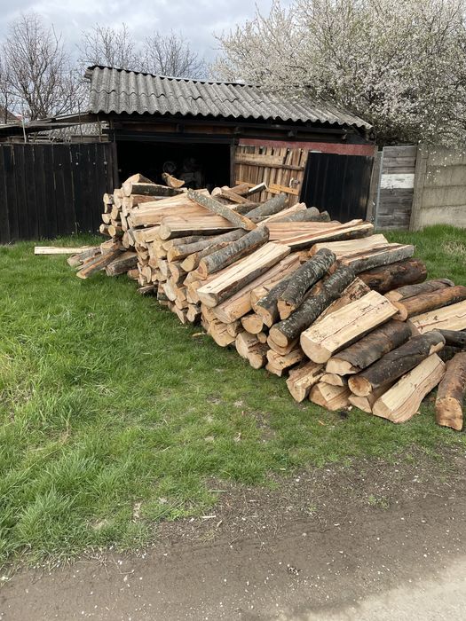 Vindem lemne de foc esențe tarii transportul gratuit