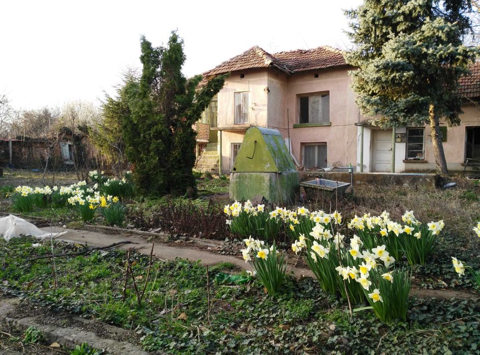 Продава се Парцел в с. Горни Дъбник, Област Плевен - 2200 кв.м за 6 €/кв.м - Снимка #2