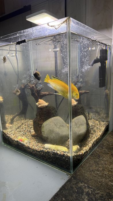 Продам аквариум