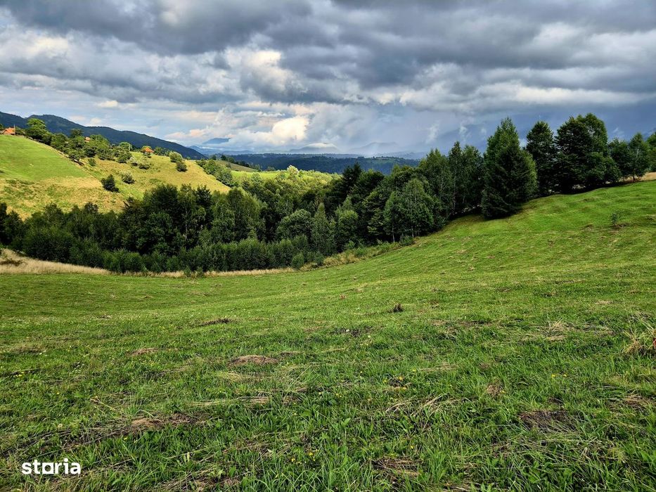 Teren Extravilan De Vânzare – Peștera, Moeciu- Investiție Cu Potențial