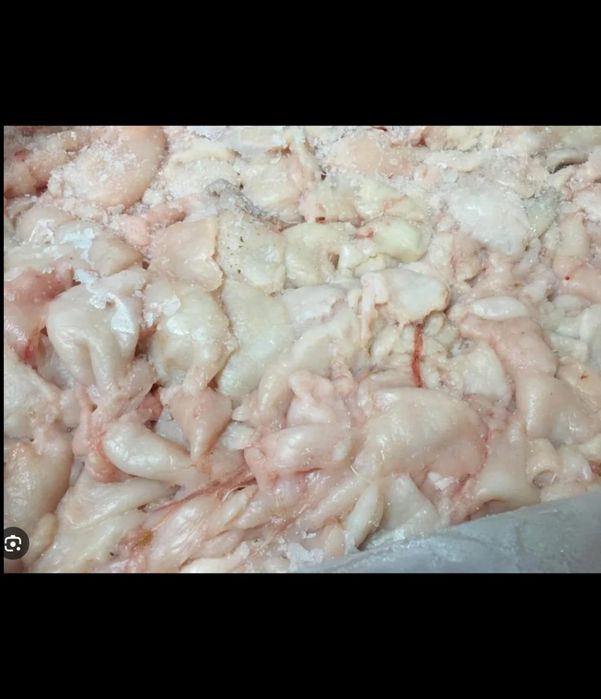 Фаланги Крыла для  собак