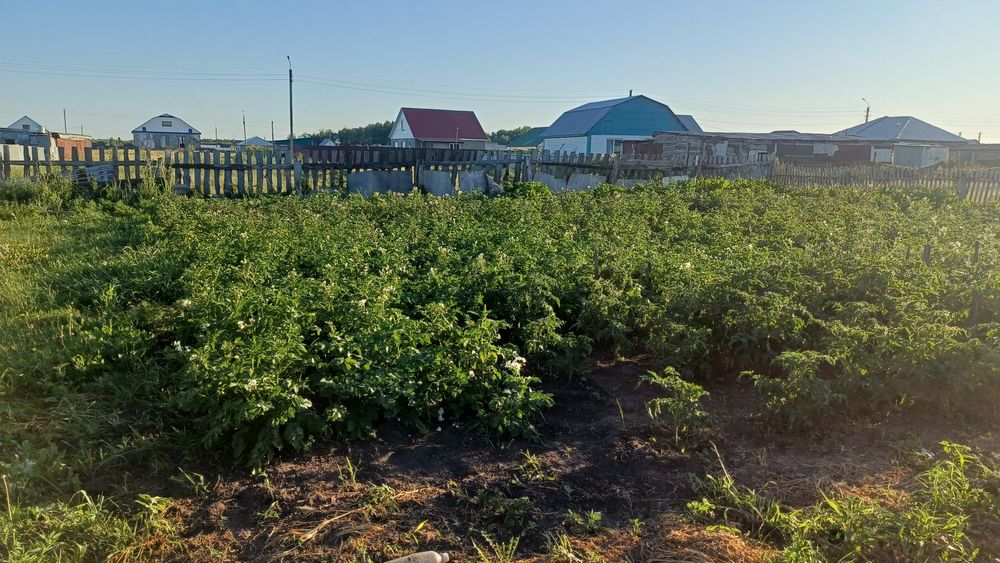 Продам дом в Бишкуле