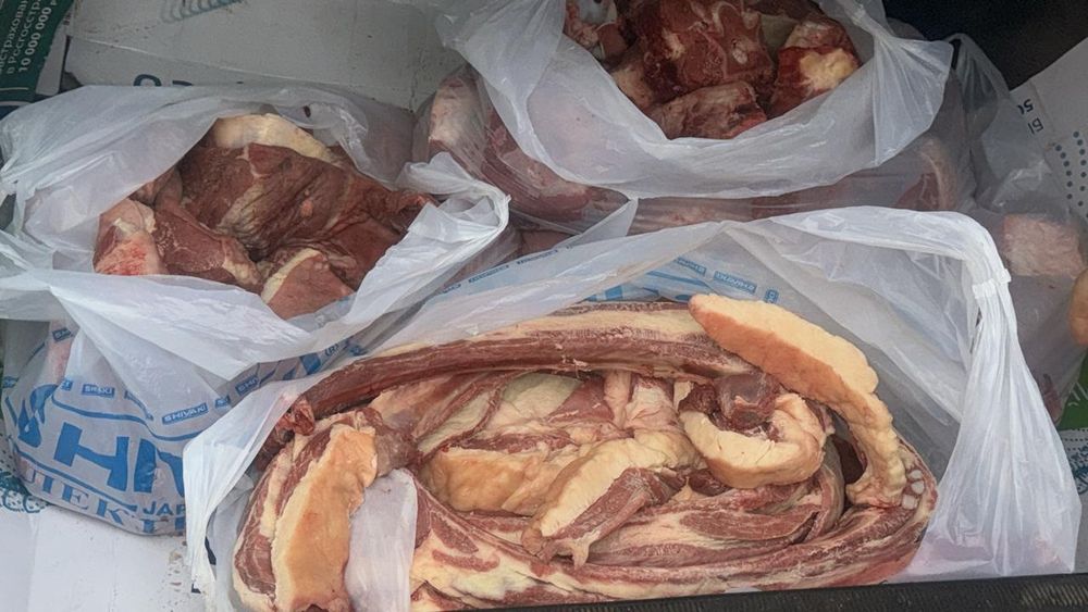 Жылқы  жылқы жылқы