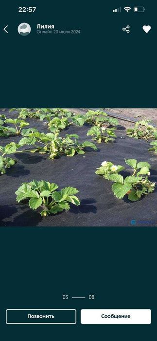 Спанбонд продается