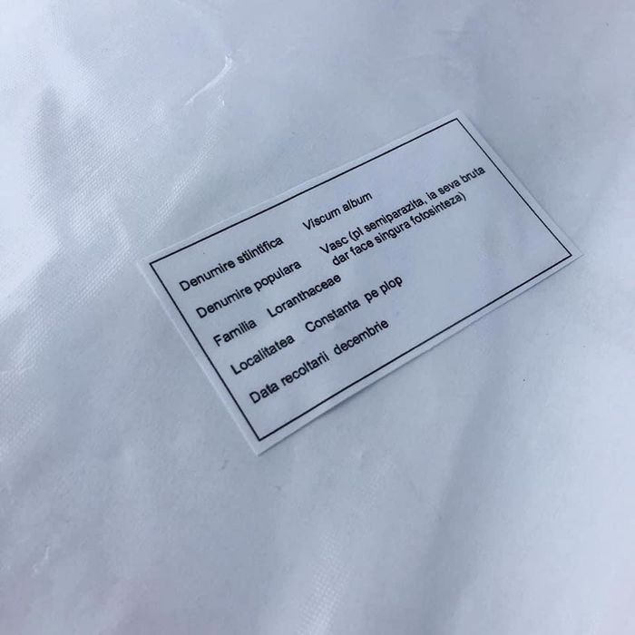 Ierbar plante medicinale