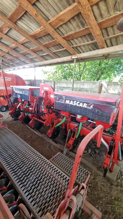 Semanatoare prasitoare  maschio/mascar  maxi 5