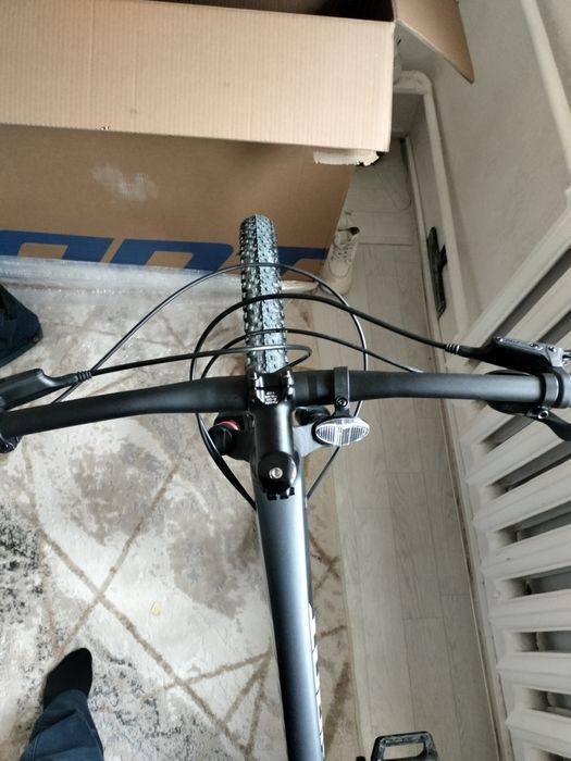 Gaint talon 1 2025