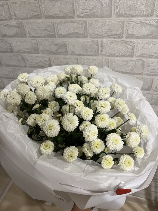 Свежие цветы дешево