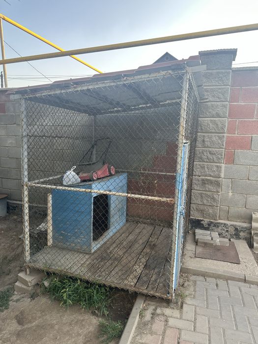 Вальер для собаки