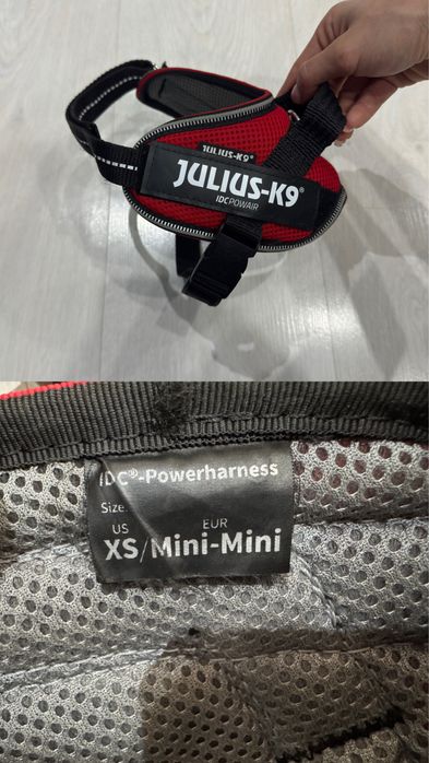 Дрехи и аксесоари за куче