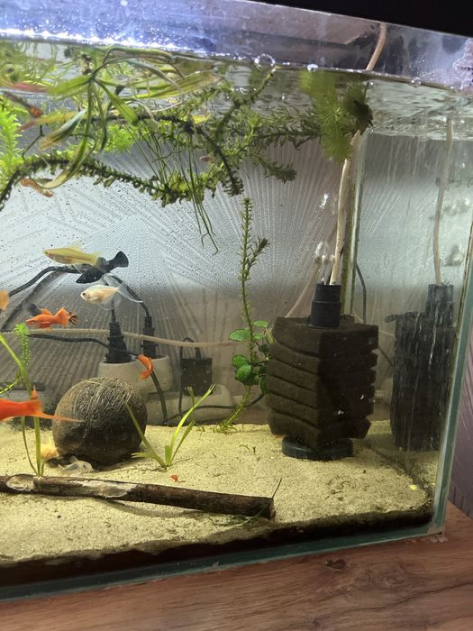 Продам аквариум с тумбочкой