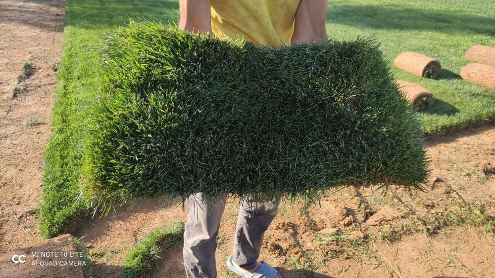 Услуги садовника