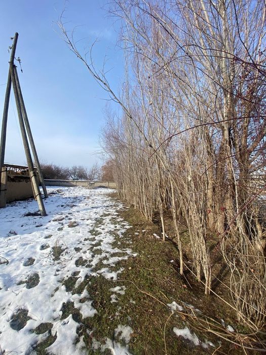 10 sotx  uchaska sotiladi