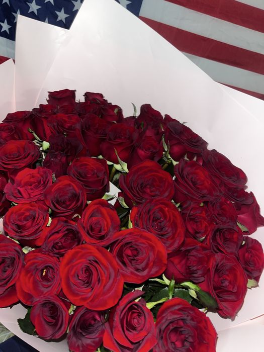 51 роза метровая