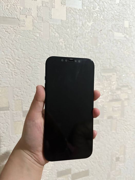 iPhone 12 pro max