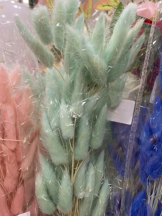 Пухчета заешка опашка