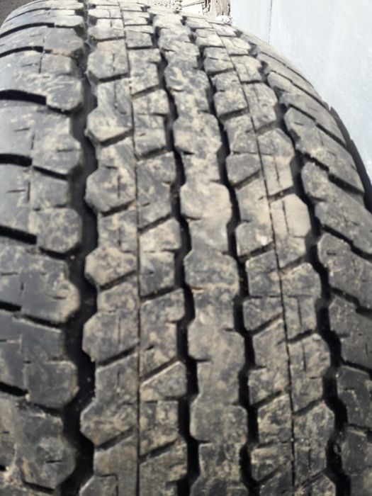 Продам резину Dunlop.