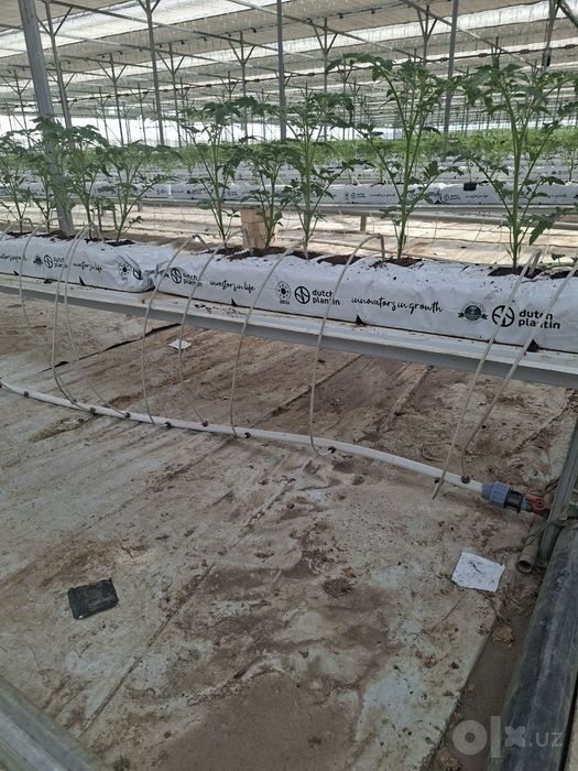 Субстрат кокосовый в матах, от Dutch Plantin (Индия)