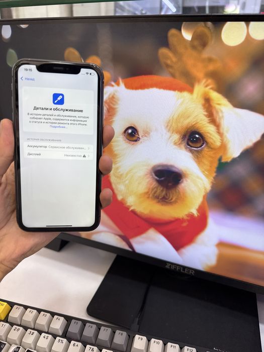 iphone 11 arzon narx
