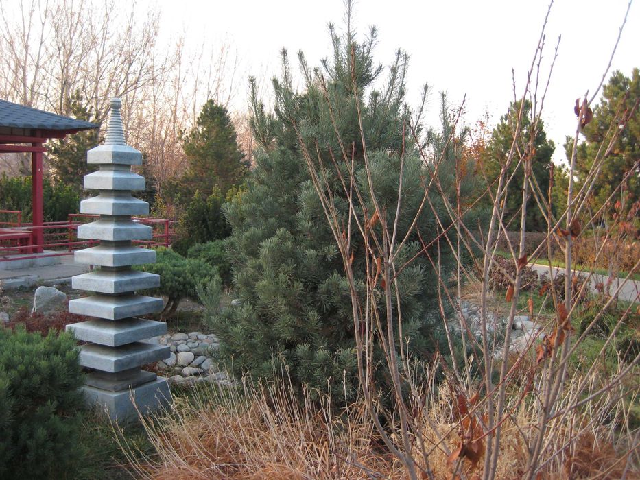 Canon Digital IXUS 70