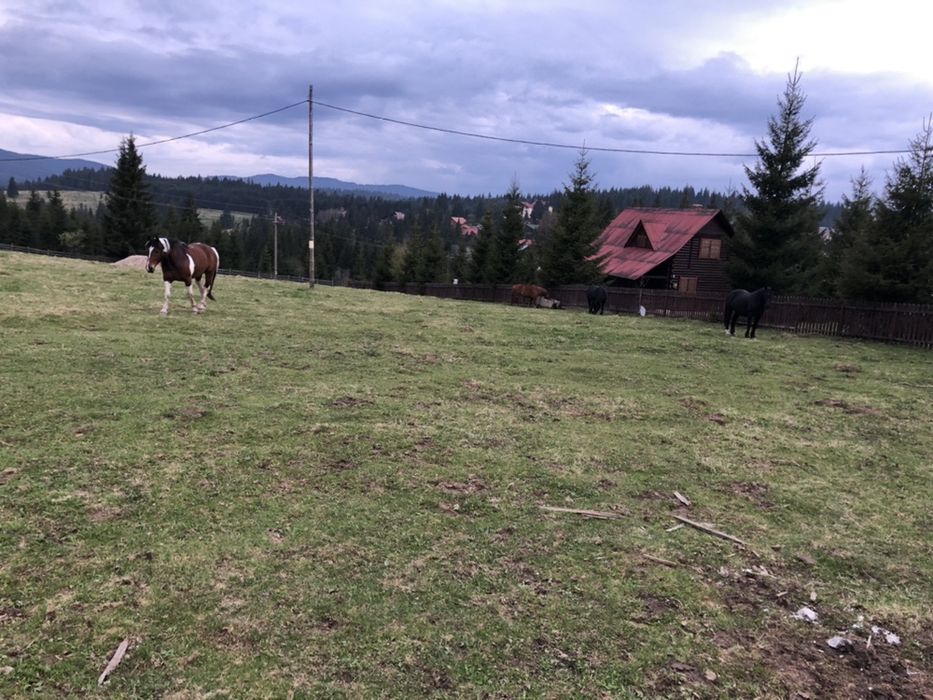 PF vand teren in Belis Fantanele str. Principala 3500 mp 59 euro/mp