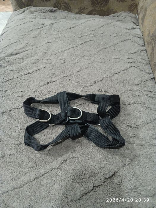 Шлейка для собак