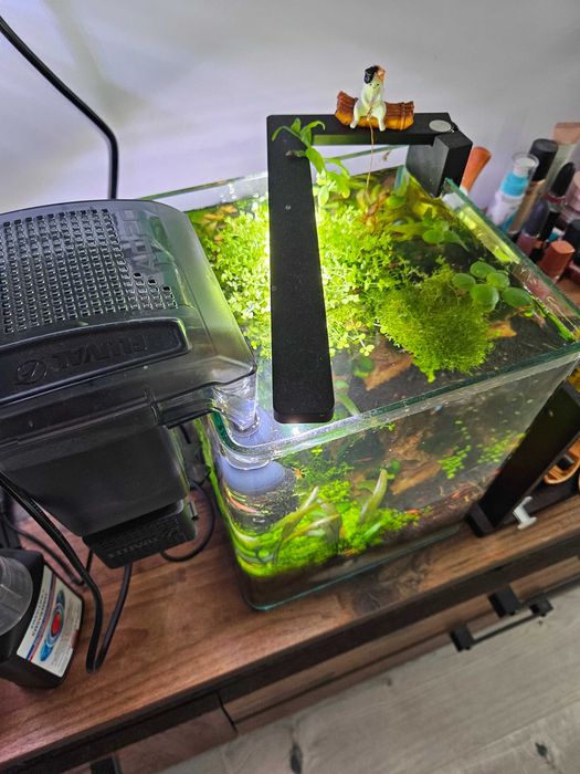 Acvariu Dennerle 10l Complet