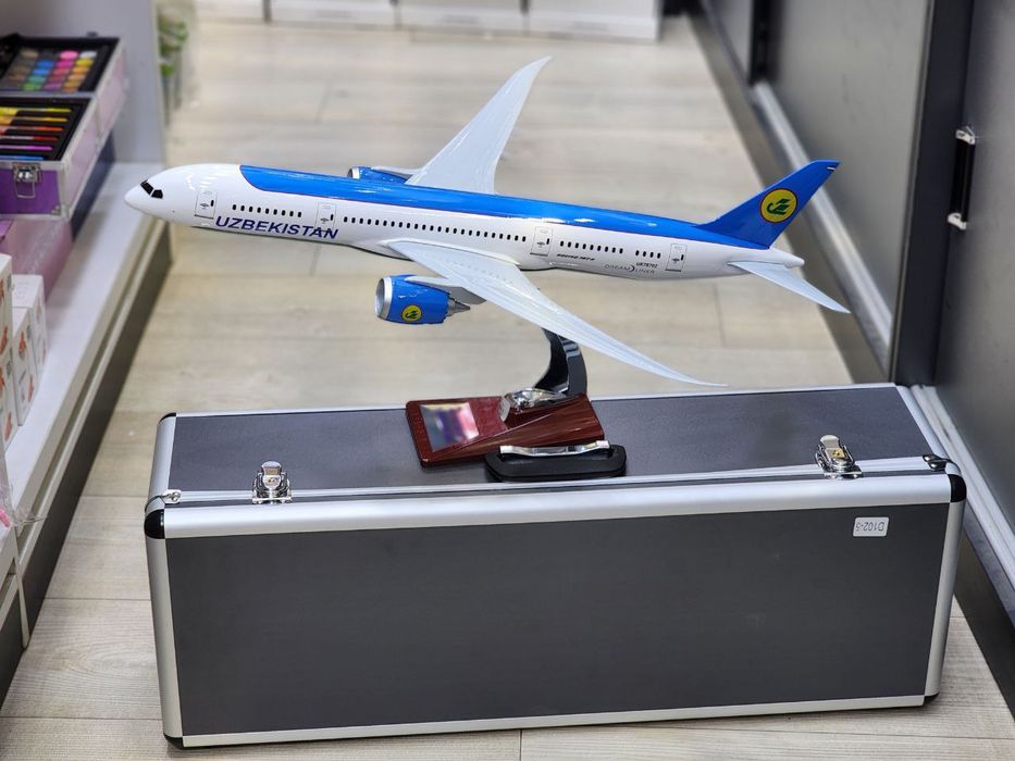 Самолёт Boeing 787 с чемоданом