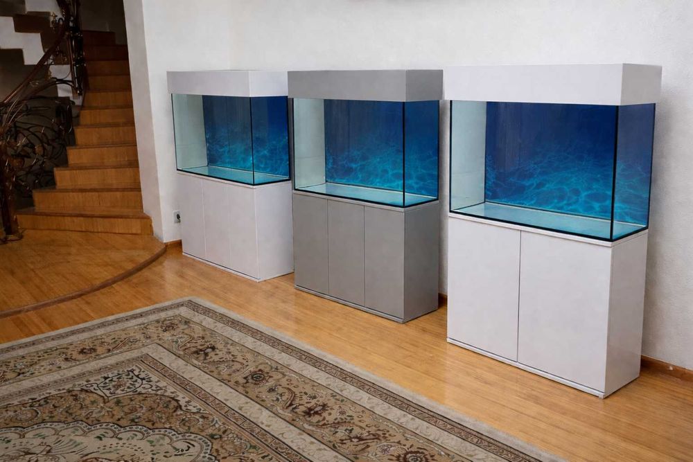 Akvariumlar sotiladi, bizda arzon va sifat