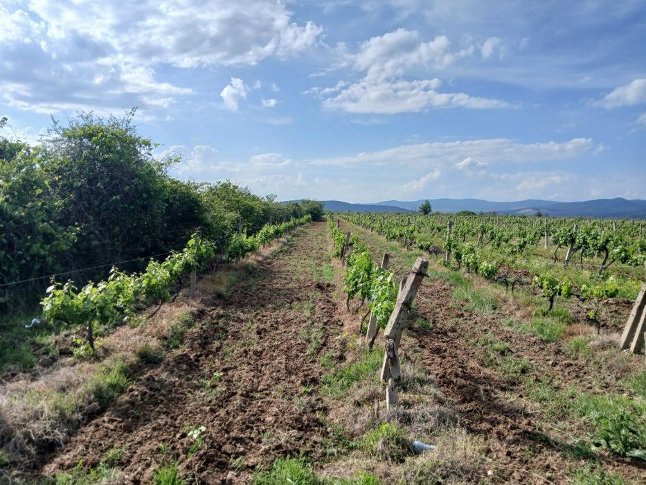 Продава се Земеделски имот в с. Карабунар, Област Пазарджик -  кв.м за 2 €/дка - Снимка #6