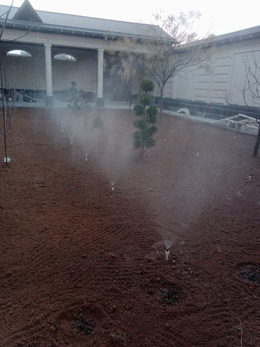 Газон ландшафтный дизайнер