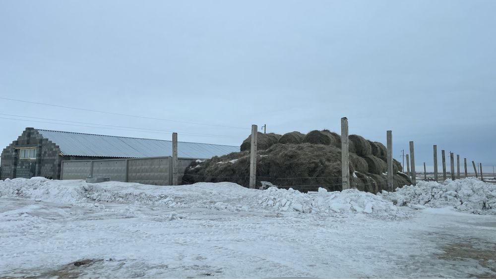 Продам ферму, базу, хозяйство,дом