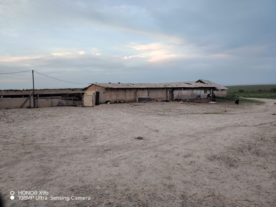 Ордабасински раеон село шубарсу