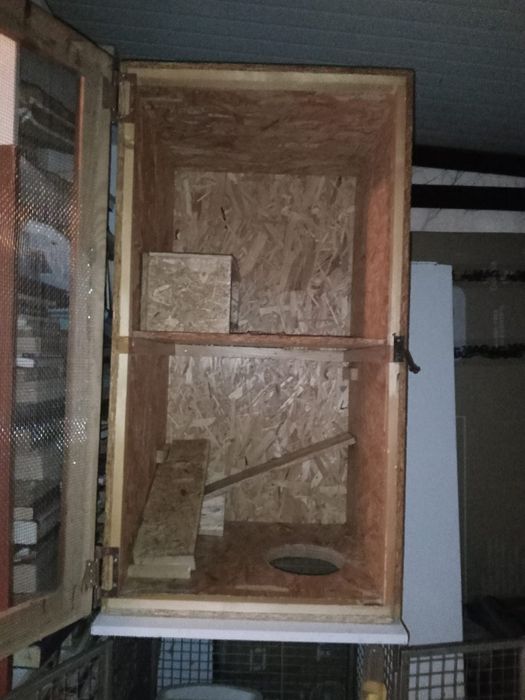 Vand cusca pentru animalut " pretențios"